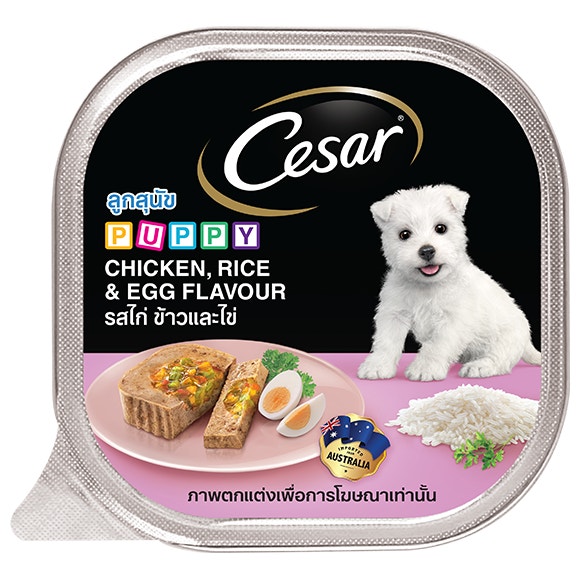 image Cesar%C2%AE%20Puppy%20Chicken%2C%20Rice%20_%20Egg%20Flavour