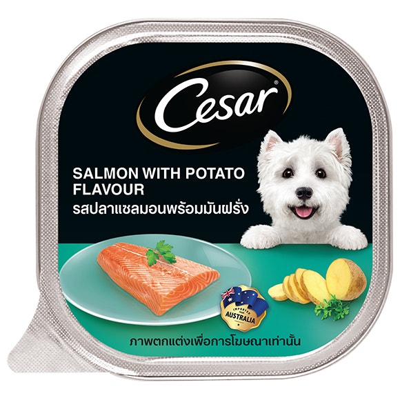 image Cesar%C2%AE%20Salmon%20with%20Potato%20Flavour