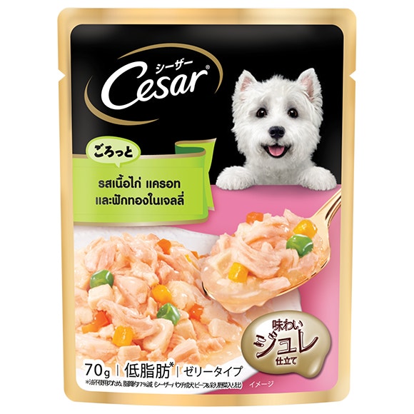 image Mockup%20Cesar%20Pouch_Adult%20Dog%20Chicken%20Meat%2C%20Carrot%20and%20Pumpkin%20Flavour%20in%20Jelly%20FOP%20TH